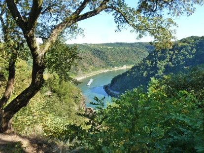 Rheinschleife bei Boppard Rheinschleife bei Boppard